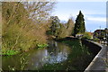 Flood defences on River Avon, west of Salisbury