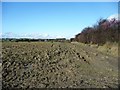 Ploughed field at the edge of Kinsley