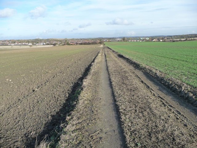 Bridleway and farm track, heading to Kinsley