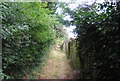 Footpath by the railway line