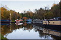 Canal boats moored on the Bridgewater Canal