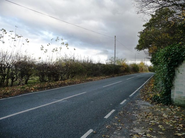 Common Lane, Brierley Gap