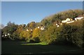 Williams Field and Combe Lane, Torquay