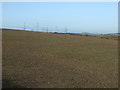 Farmland off West Lane