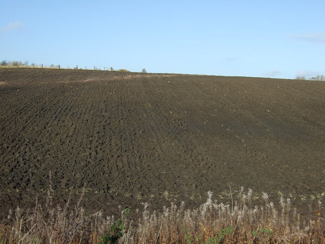 Farmland east of Murton
