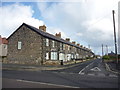 Northumberland Townscape : Dunstan View, Seahouses