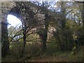 Beneath Unstone Viaduct