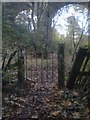 Gate on a footpath