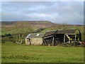 Tatty barn at West Scrafton