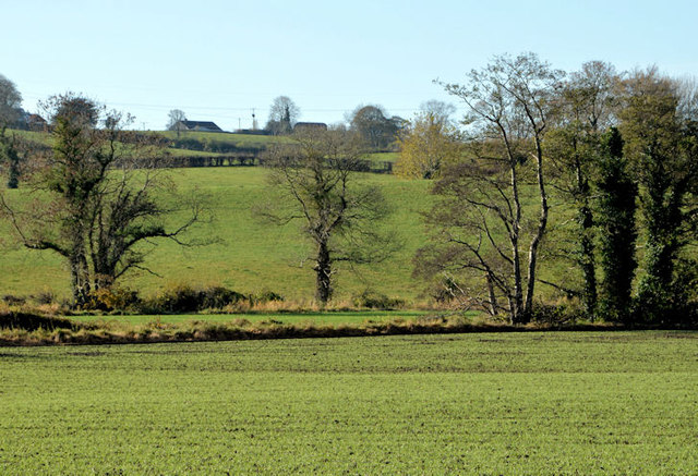 Fields and trees, Lisburn/Ravernet