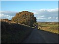 Minor road north of Enterlake Farm