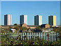 Tower blocks, Ponders End