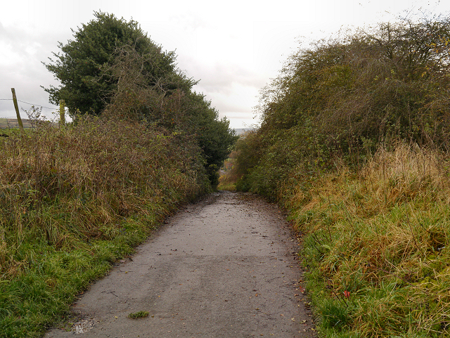 Dukinfield, Yew Tree Lane (Track)