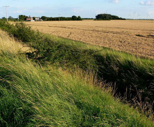 Flat farmland along Sot's Hole Bank