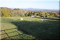 View north from Clytha Hill