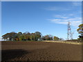 Power  Lines  and  Topham  Wood