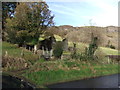 Glenariffe Road, derelict cottage