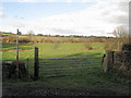 Footpath from Firsby Lane to Park Lane