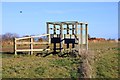 Training stalls on the gallops