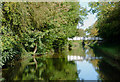 Llangollen Canal at Wrenbury Heath, Cheshire