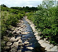 Taff Bargoed upstream from a footbridge, Trelewis