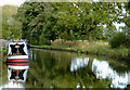 Llangollen Canal north of  Wrenbury Heath, Cheshire