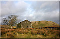 SD7198 : Ruined barn, Murthwaite by Karl and Ali
