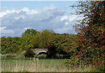 SJ6150 : Farmland and canal bridge near Ravensmoor, Cheshire by Roger  D Kidd