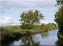 SJ6150 : Canal and farmland west of Ravensmoor, Cheshire by Roger  D Kidd