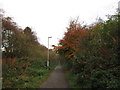 The Trans Pennine Trail