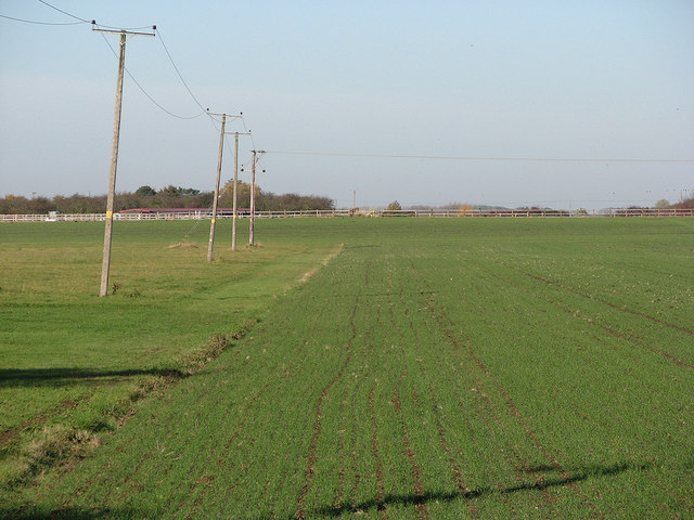 Leaning poles near Highdrove Farm