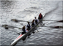 NS5963 : Rowing race on the Clyde by Thomas Nugent