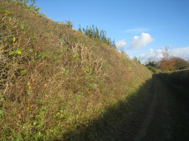 Cut today - a very high hedge