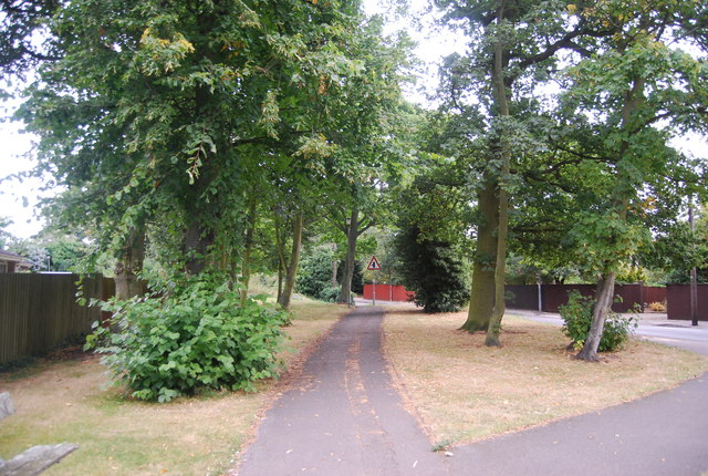 Wooded footpath along Belstead Rd