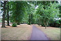 Wooded footpath along Belstead Rd