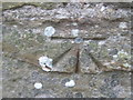 NY9913 : Ordnance Survey Cut Mark with Bolt by Peter Wood