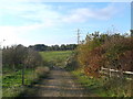 Footpath beside the A13