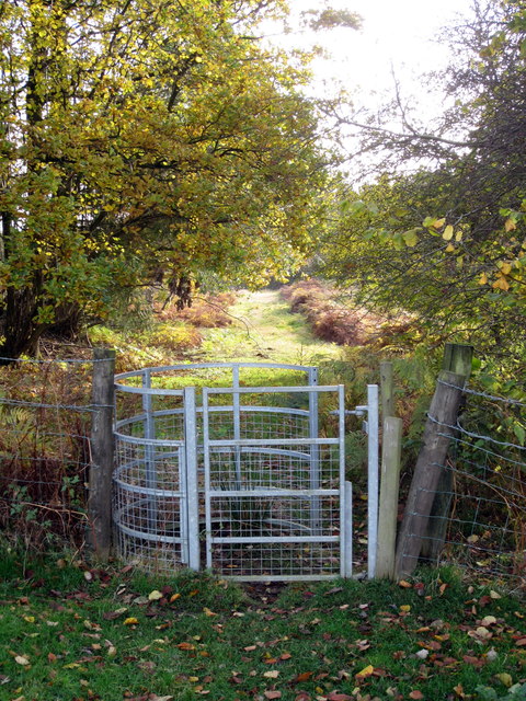 Gate into Daintry Wood