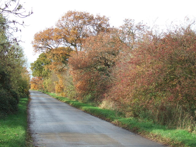 Autumn colours on Hollow Lane near Ramsey