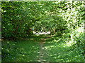 Path out of Corner Copse