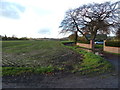 View towards Ship Canal from Reddish House