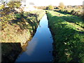 Sea Wall Reen, Newport