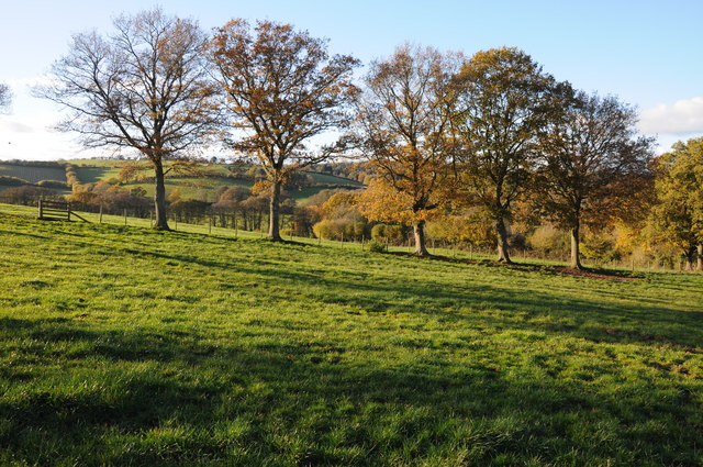 Trees and farmland © Philip Halling cc-by-sa/2.0 :: Geograph Britain ...