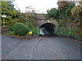 Bridge carrying the Bridgewater Canal over roadway