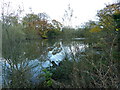 Pool in Statham, Lymm