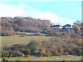 Darland Banks, near West Hoath Wood