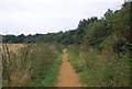 Path, Belstead Brook Park