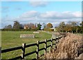 Horse Jumps near Ledalls Cottage