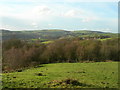 Wickens Clough