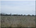 Farmland off Jewison Lane